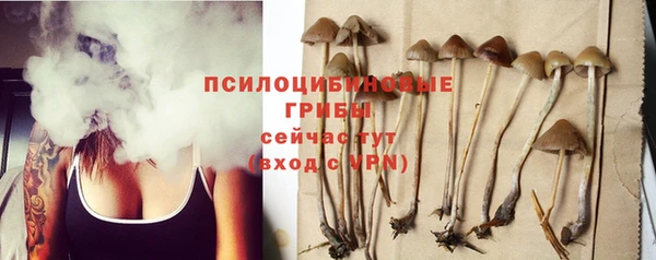 соль курить ск Алексин