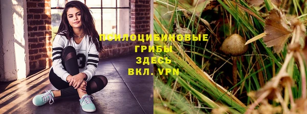 соль курить ск Алексин