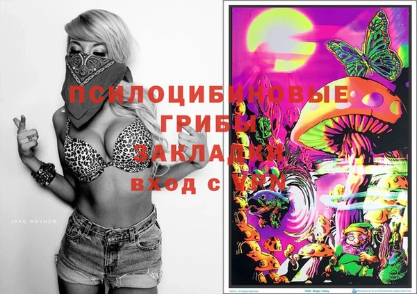 прущая мука Алзамай