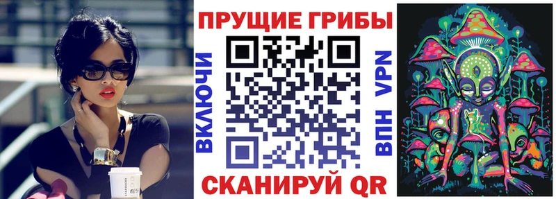 цена   Сосновый Бор  omg ТОР  Галлюциногенные грибы GOLDEN TEACHER 
